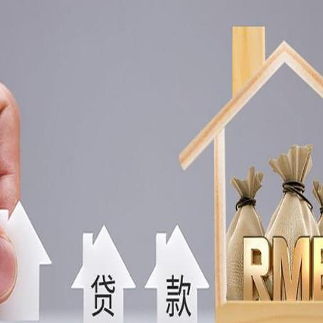 保城镇贷款中介公司新渝启服怎么样
